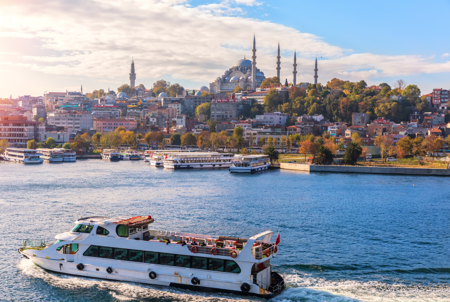 Ships in the Bosphorus.jpg